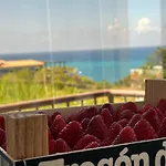 Casa - Sea View 2 Bedroom Near Tropea Apartment San Costantino